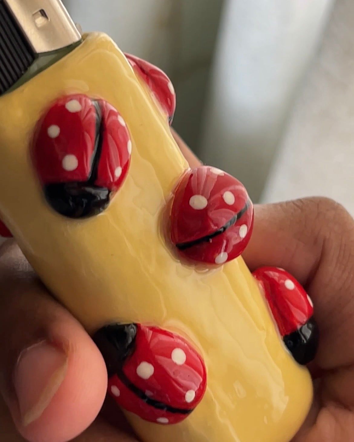 Ladybird Lighter Case